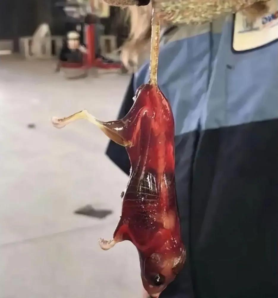 一直耗子跳进油桶，变成油耗子