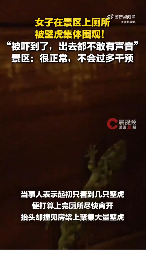 7 月 13 日，一段拍摄于三亚亚龙湾热带天堂森林公园的短视频刷屏各大社交平台，
