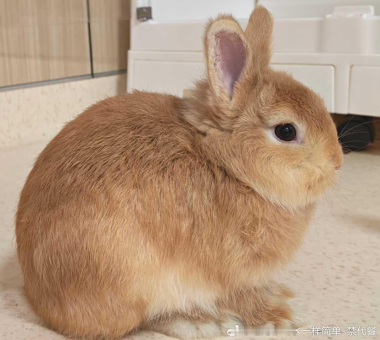 14059🐇【超虐】侧脸！ ​​​