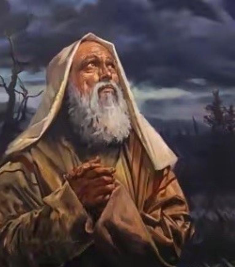 萨达姆最忠心手下暗中潜伏，发誓向美国复仇，12年间杀死数千美军。
 
他的代号—