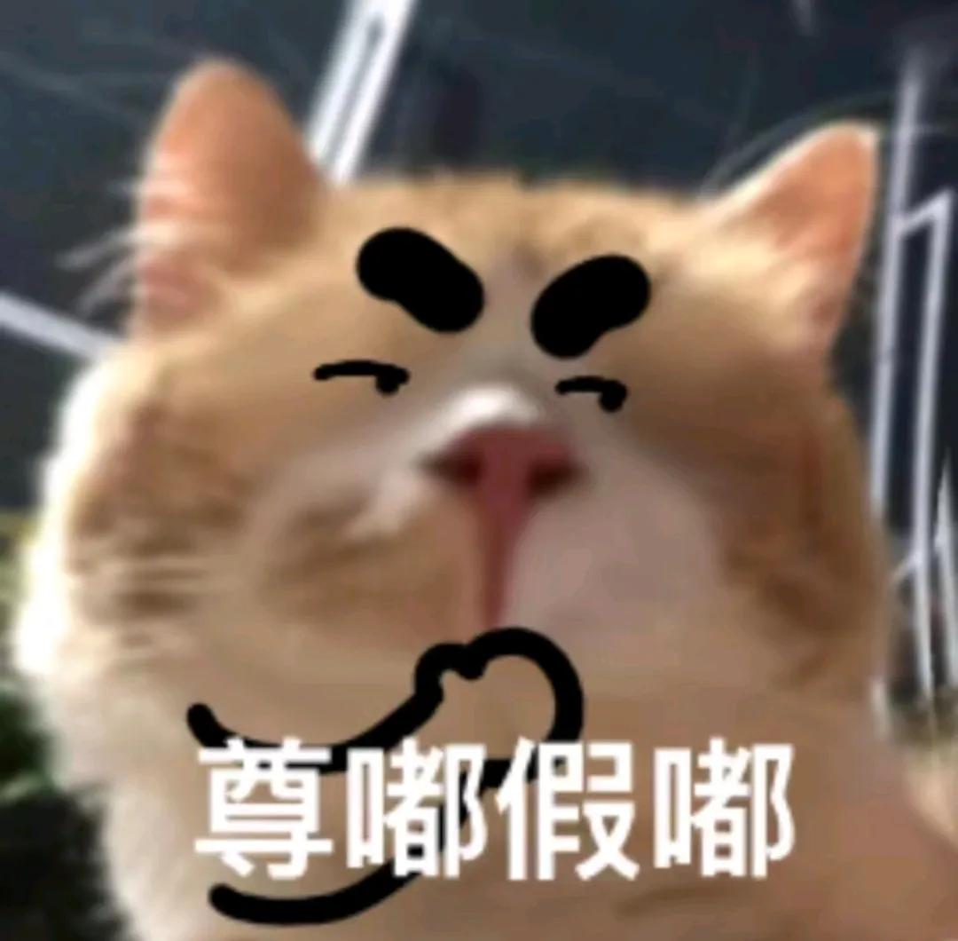 今天好多股，高点是个锤子🔨，我好怕[捂脸]