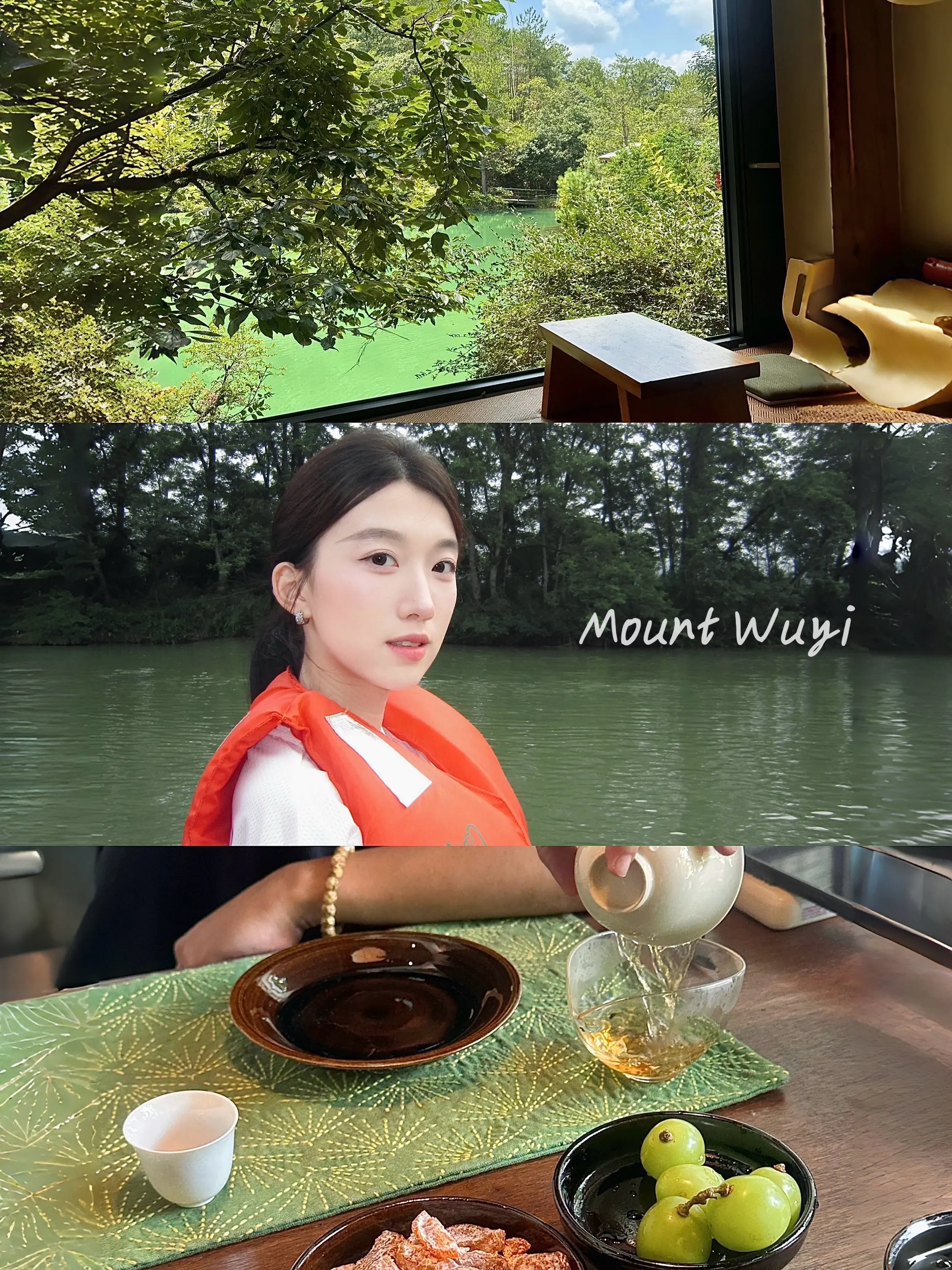 我来这个世界 是为了看绿色的窗外