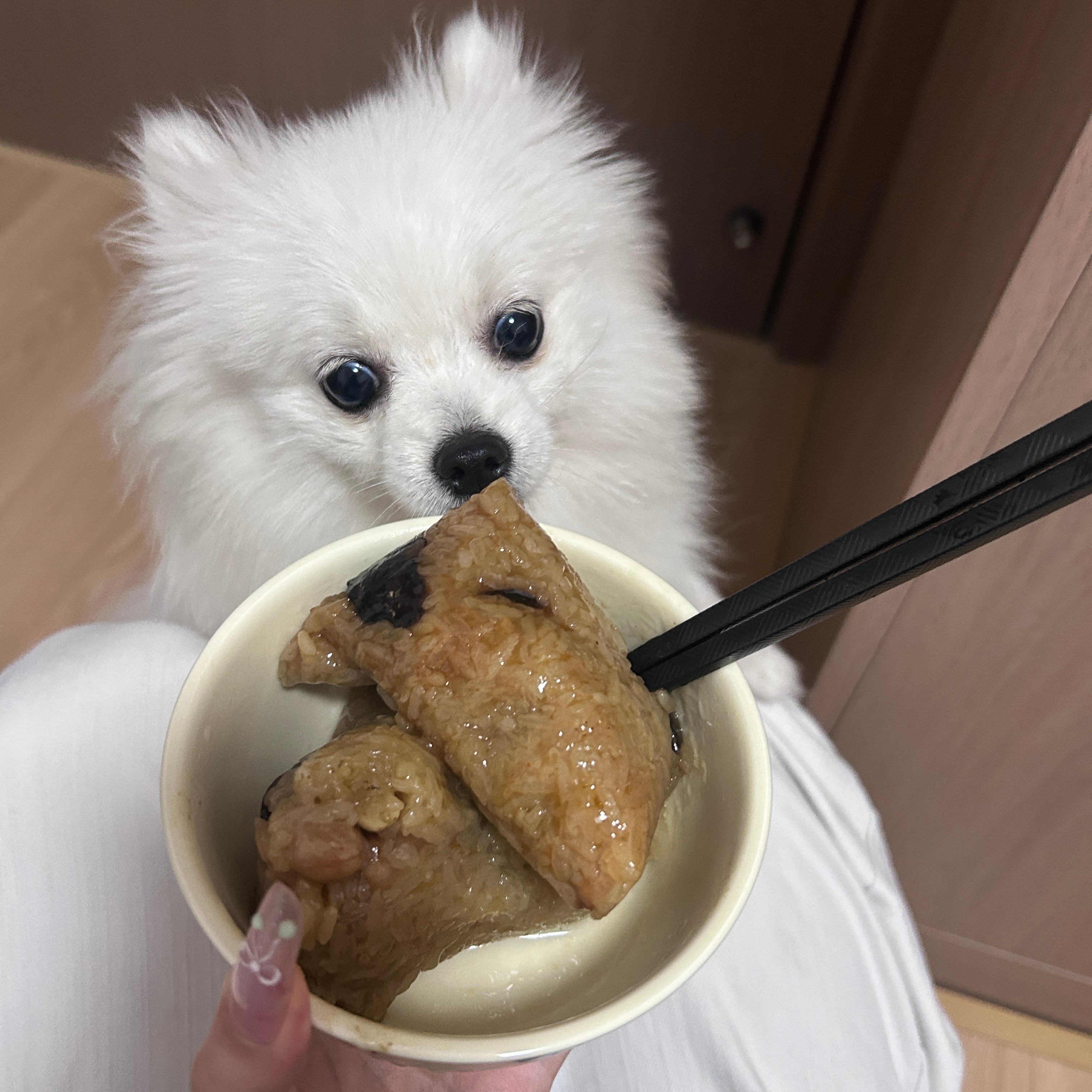 喂绵绵吃粽子 
