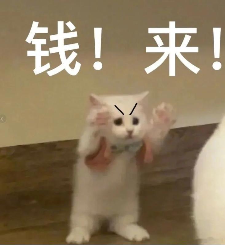 30点到手外汇黄金半导体新股暴涨900%
