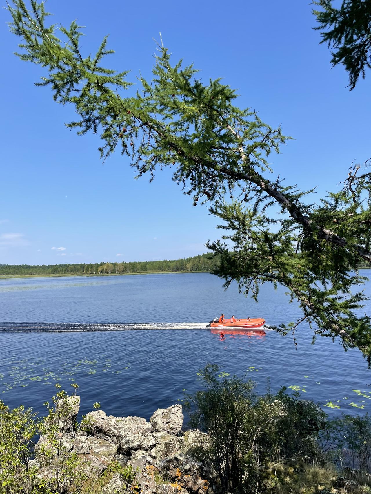 公园湖畔随手拍