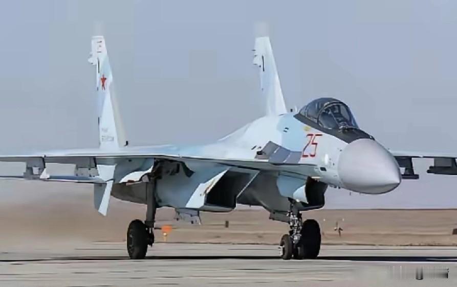 伊朗最新进展：首批16架苏-35战机到手，仍需48架全部交付！

据俄罗斯卫星网