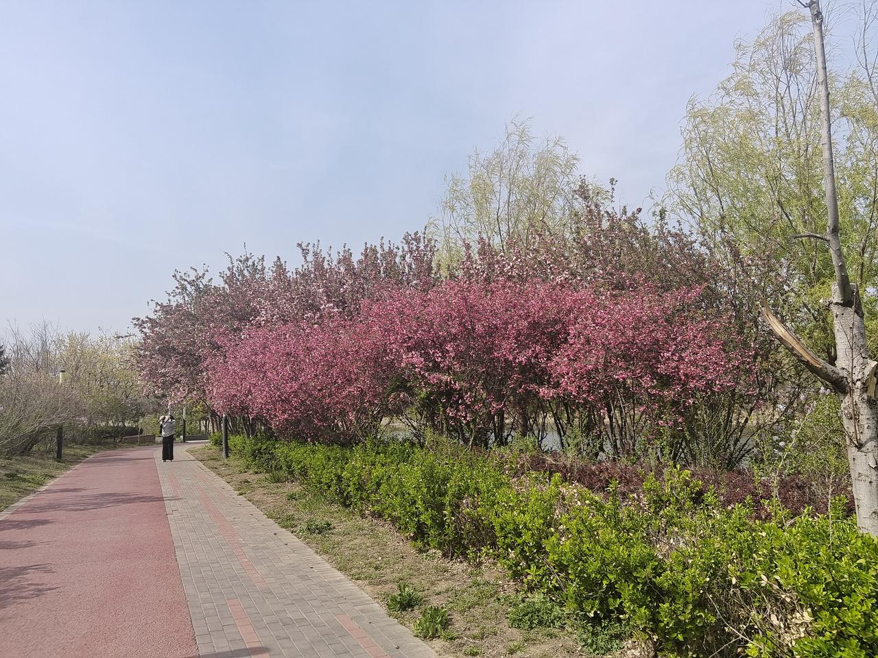 一起分享大自然的美。