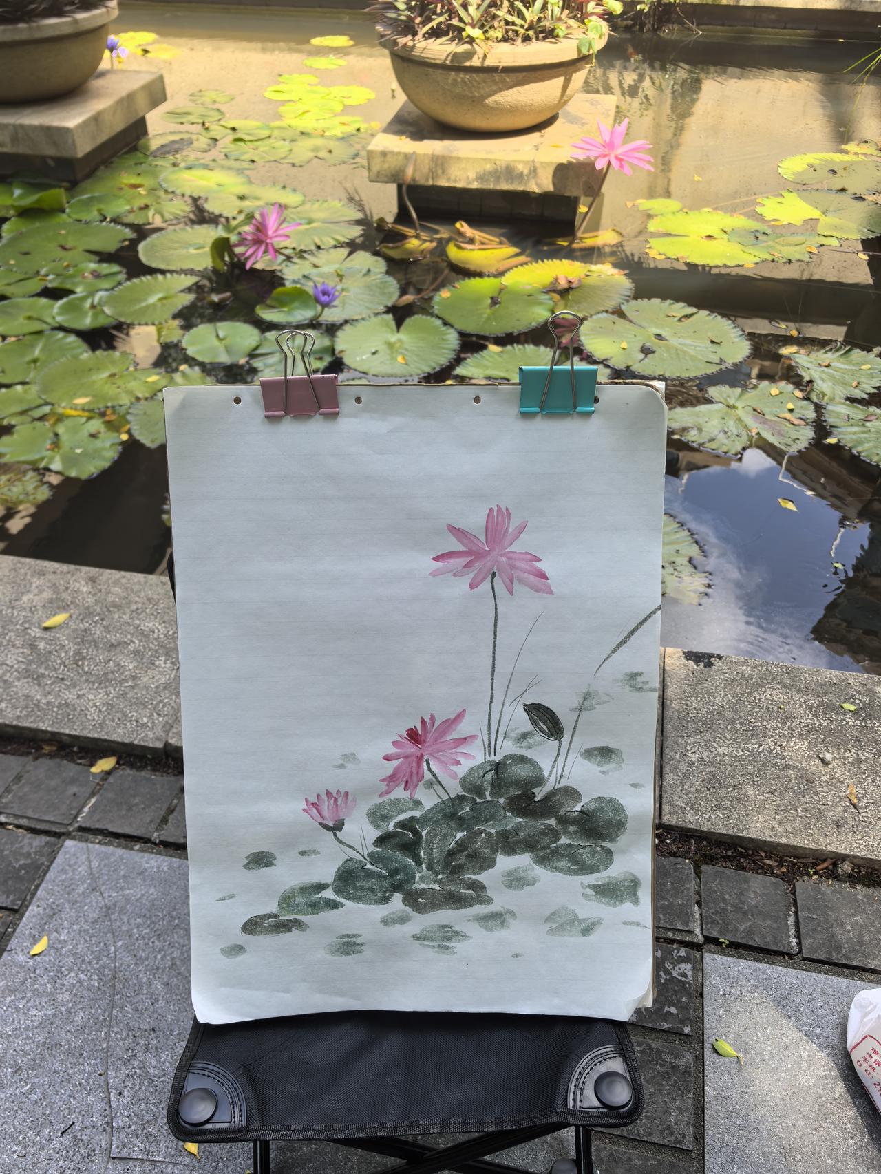 晒图笔记大赛雅居乐写生