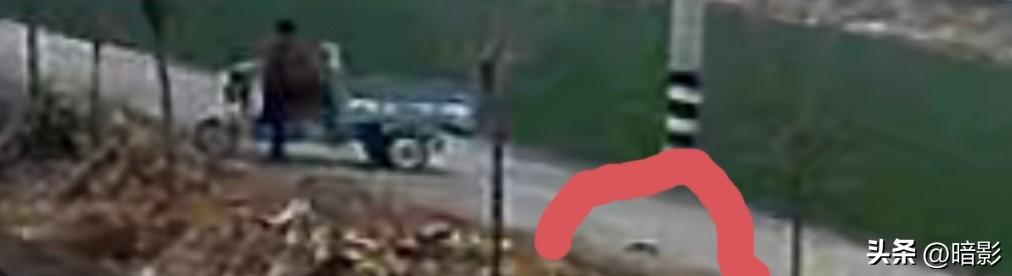 昨天下午，和我紧挨着种地的女人告诉我，上午她丢了一双鞋，名牌鞋子！我仔细询问了她