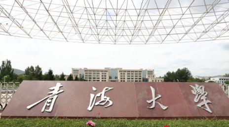 省外的好学校咱够不着，省内的学校到底咋样？一本线到底是个啥？今天咱不整那些花里胡