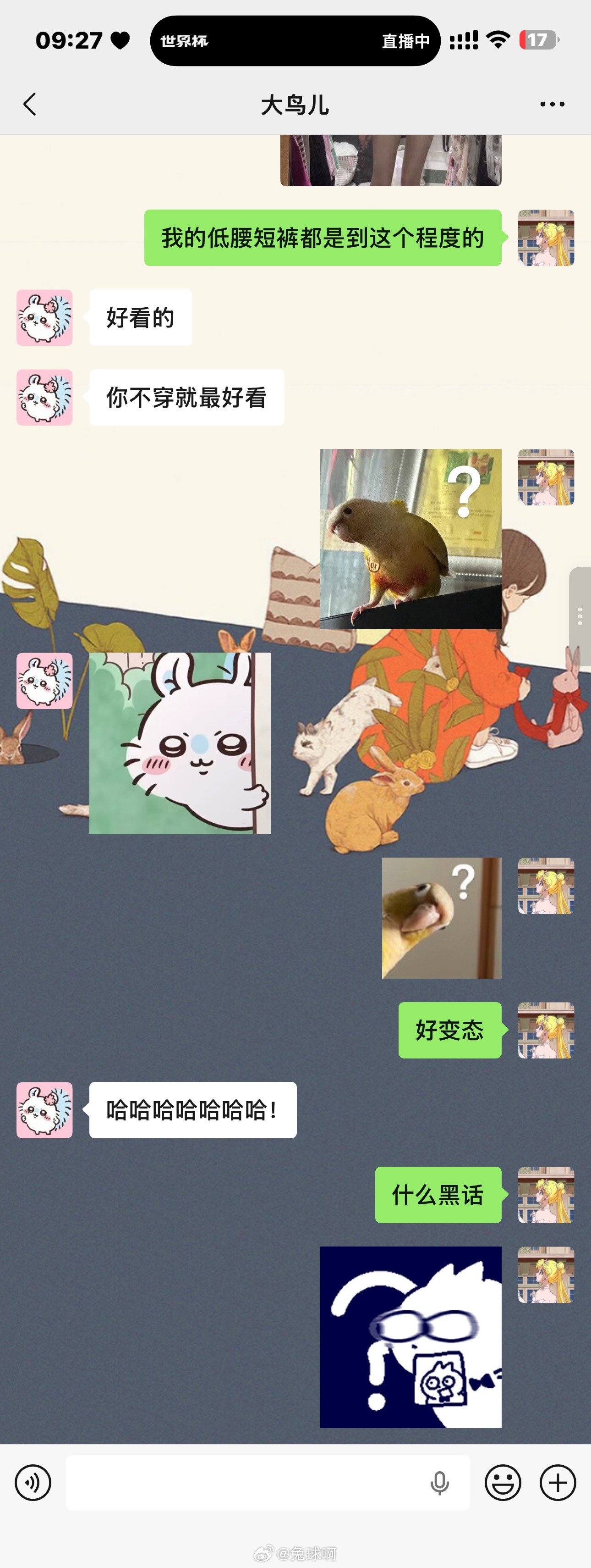 干嘛呀这是 