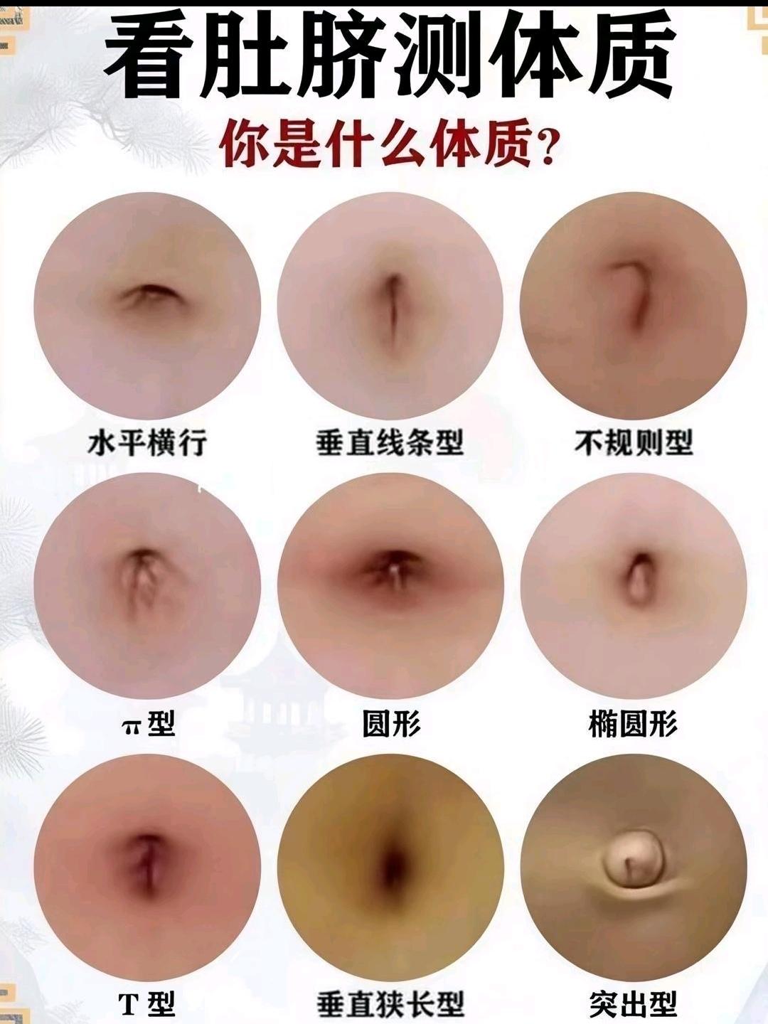 健康知识科普 科普健康知识 你是什么身材 每天学点中医知识