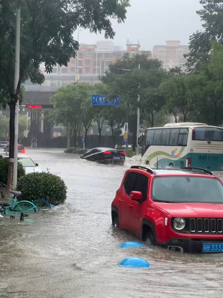 上海很多地方都彻底淹了。还有一个更不好的消息，白海豚似乎要 “滞留” 了，将来一