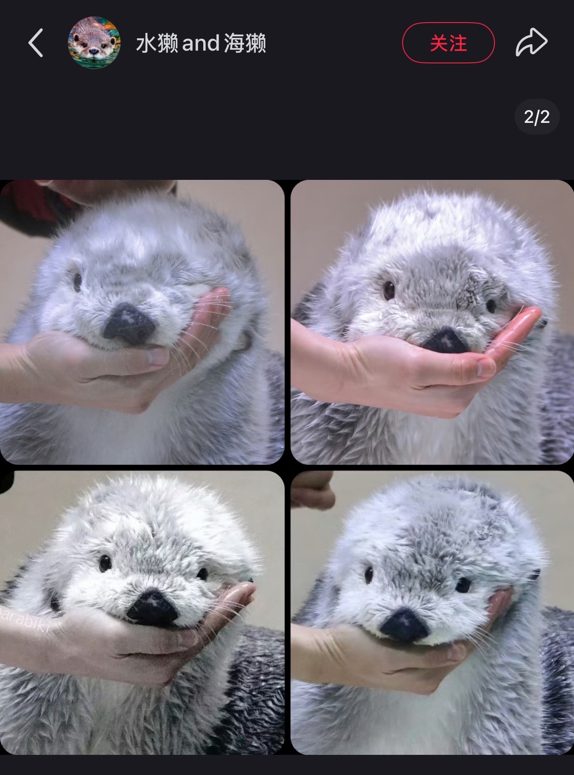 码洋就这样！ 