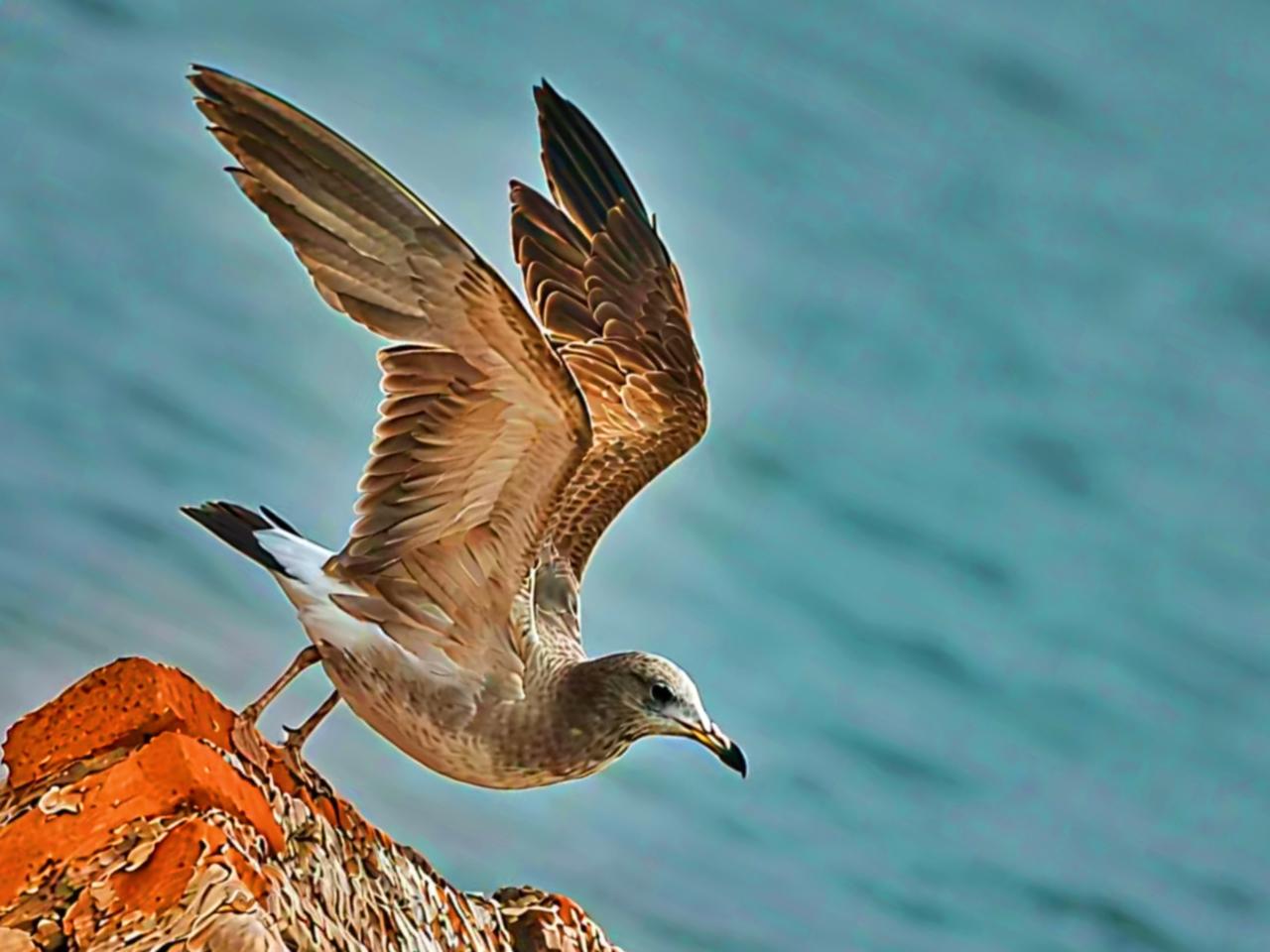 公园美丽景随拍