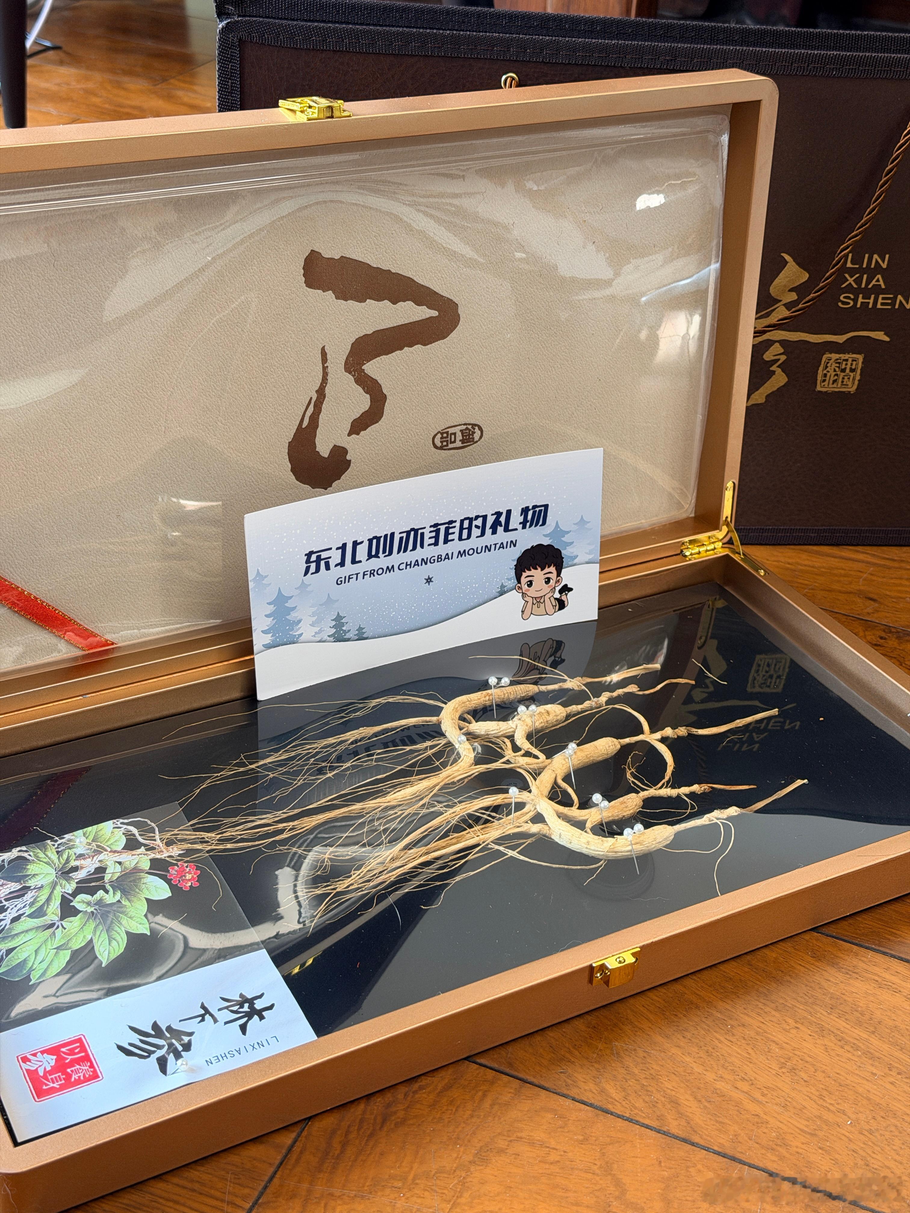 收到了 东北刘亦菲的礼物正好爸妈过年来广州，到时候给他们试试~ 