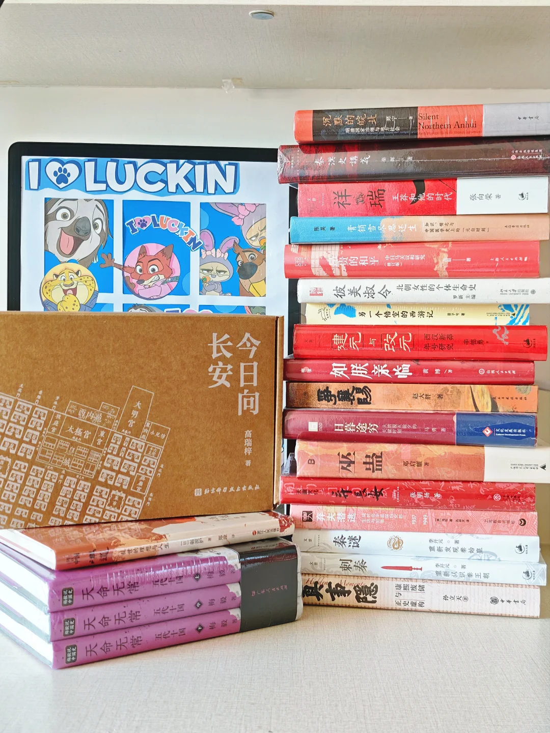 读书日最大的快乐就是：书堆成山！