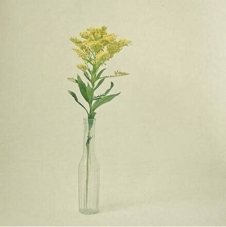 无论做什么，记得为自己而做，那就毫无怨言。 ——亦舒 《流金岁月》 