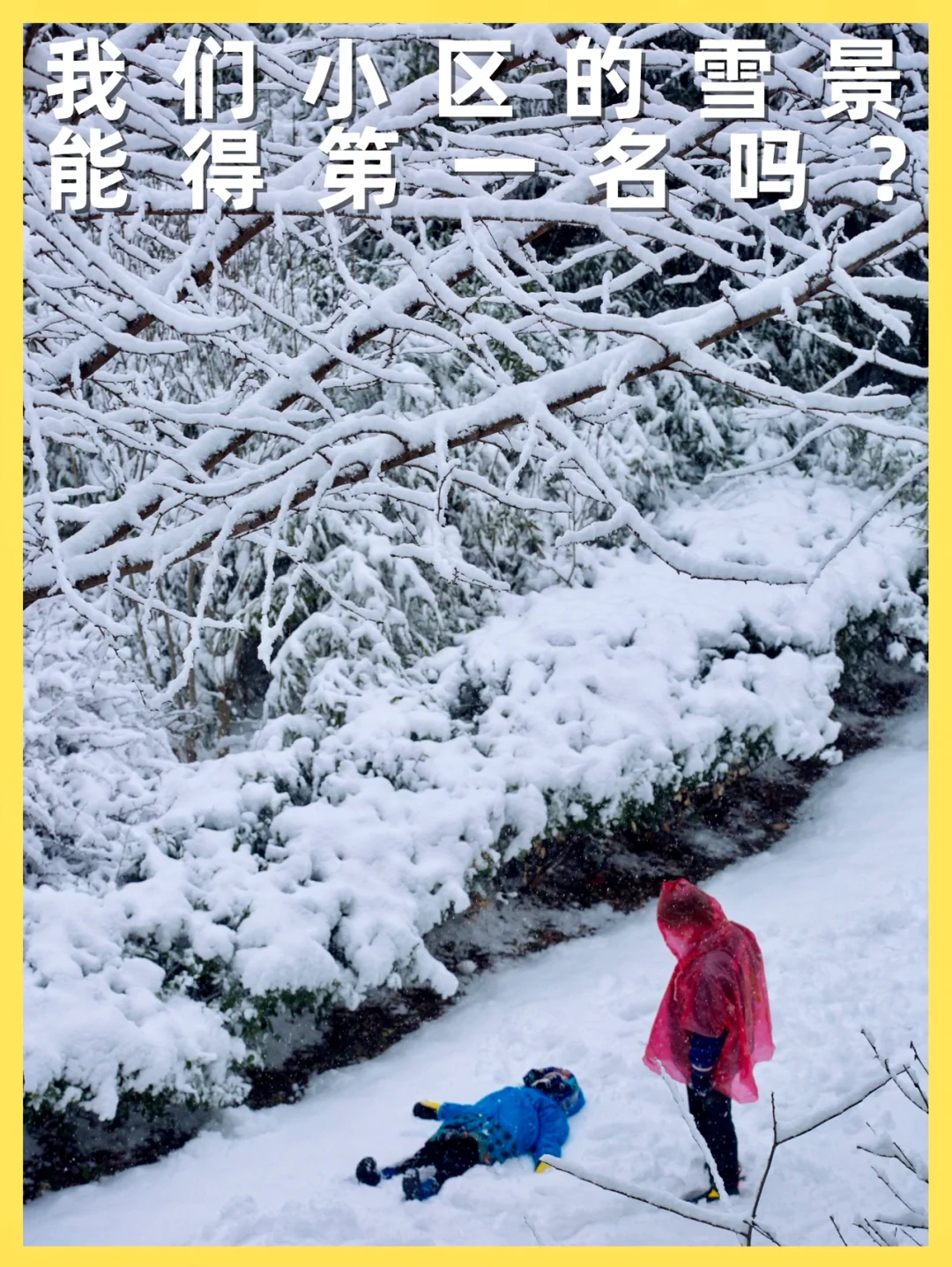 被隔离在这个小区我知足了