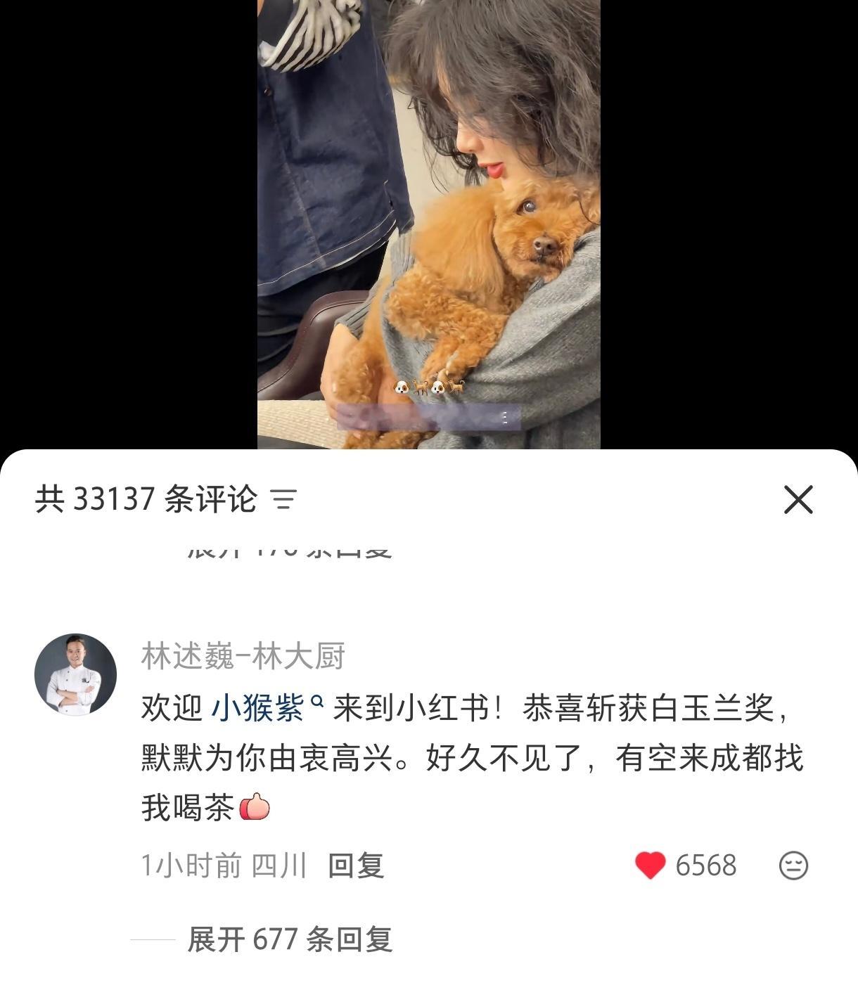 看到林大厨想起来，小紫这个昵称是中餐厅开始叫的，这个很好很好的小紫遇到好的人就能
