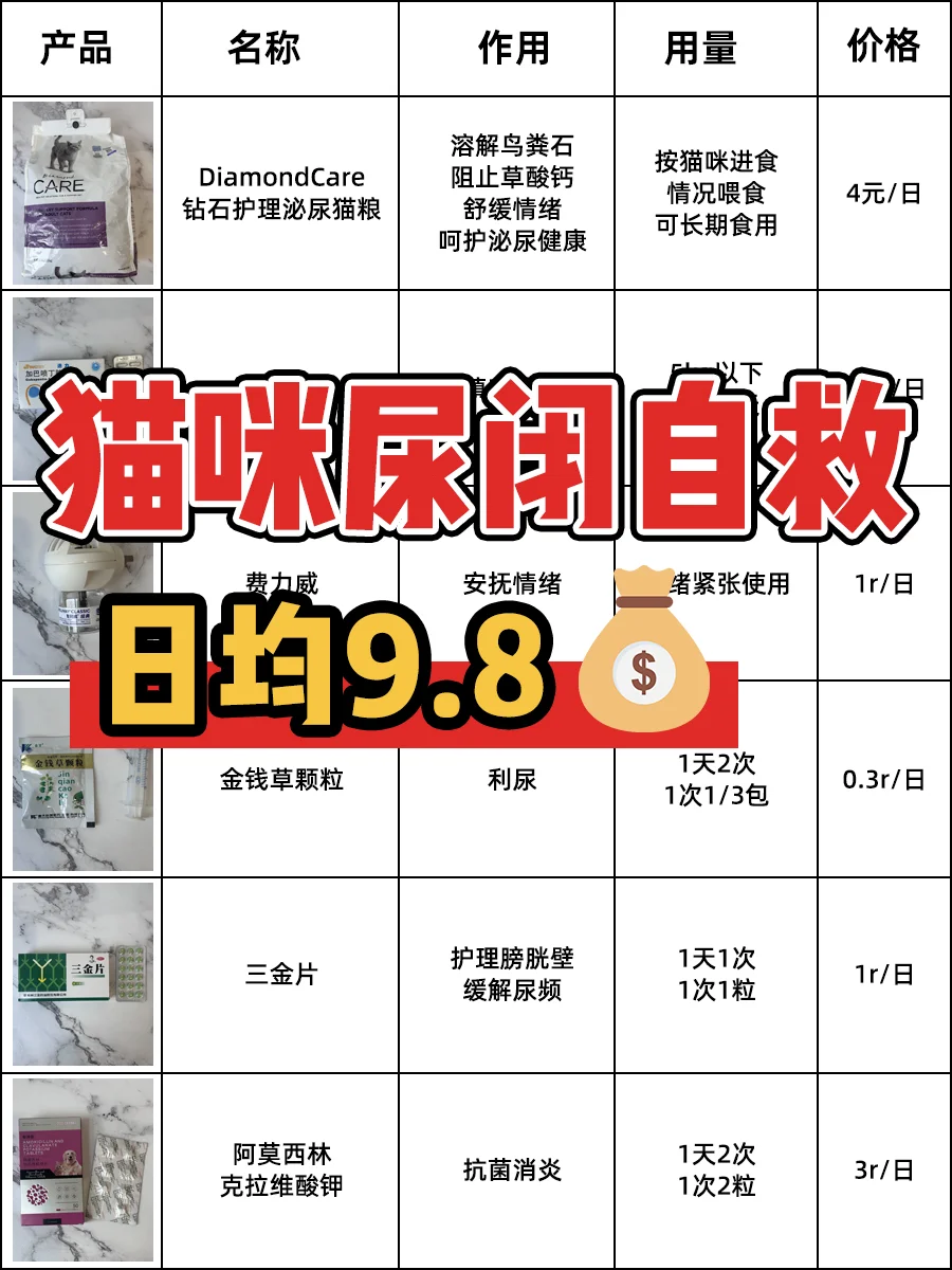 猫咪尿闭怎么在家治疗？（低成本篇）