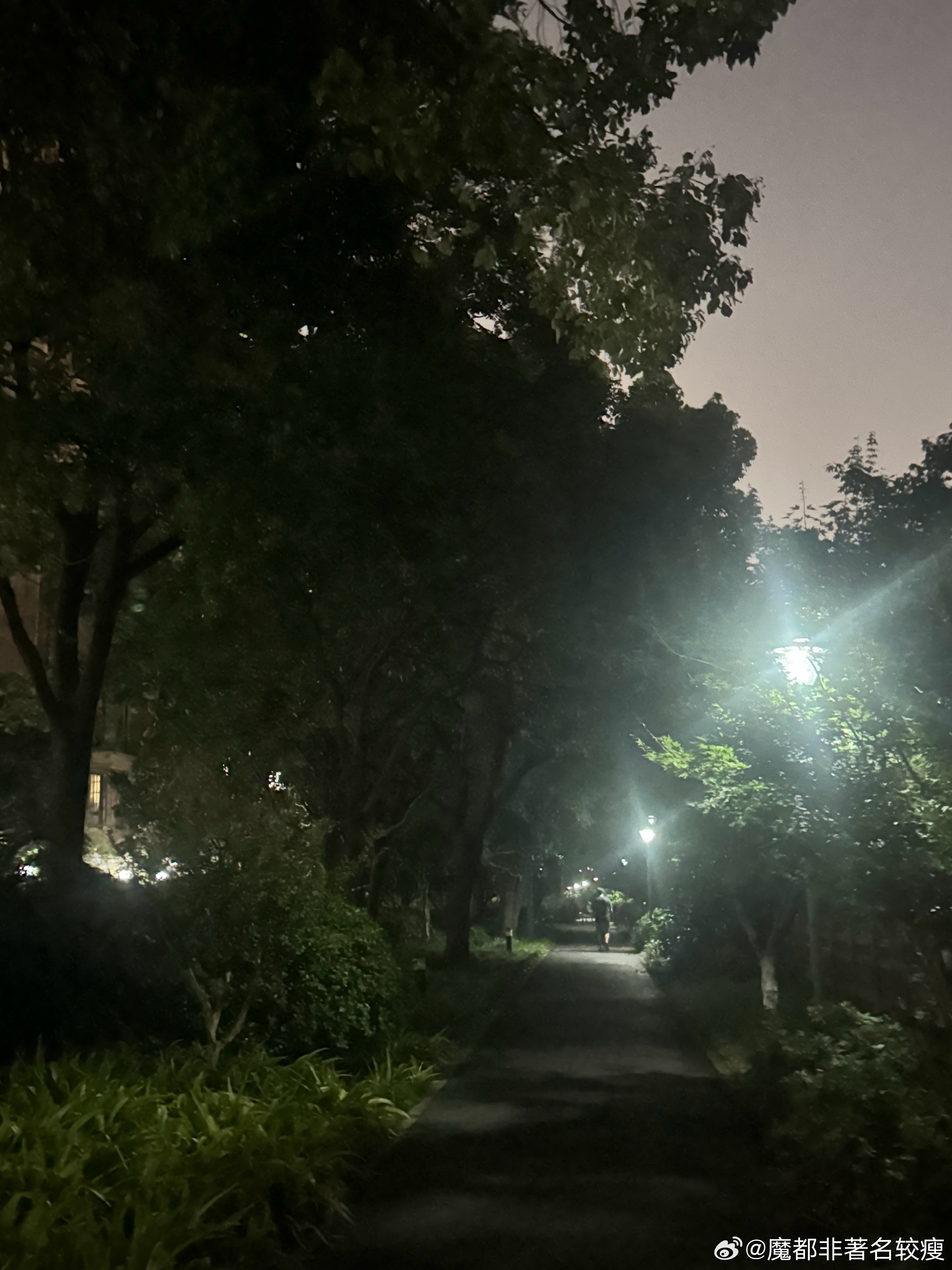河边散步 
