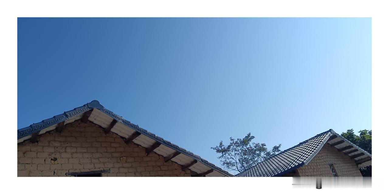 随手拍这张照片看上去也还行哟！