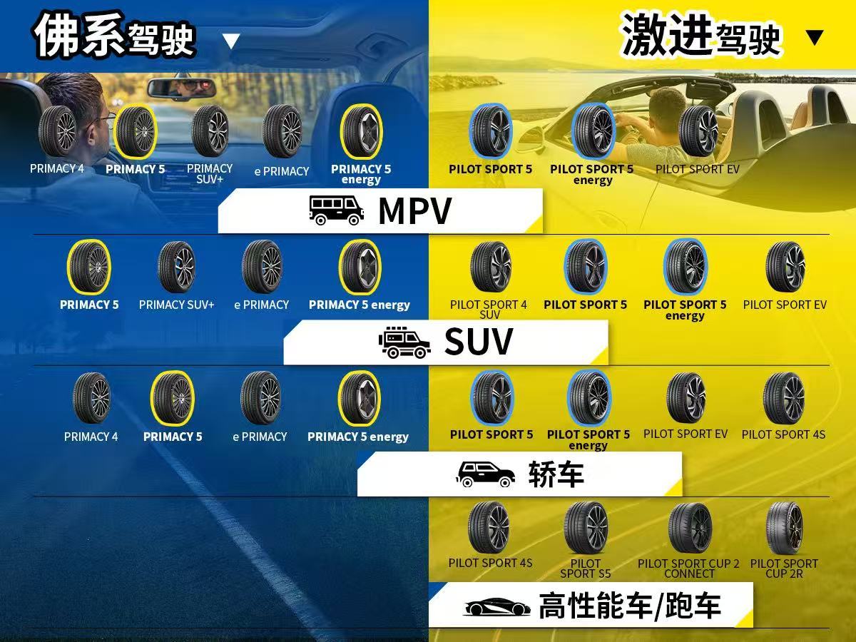 还是米其林这张图好，从MPV到SUV，从轿车到跑车，从无论是佛系驾驶还是激烈驾驶