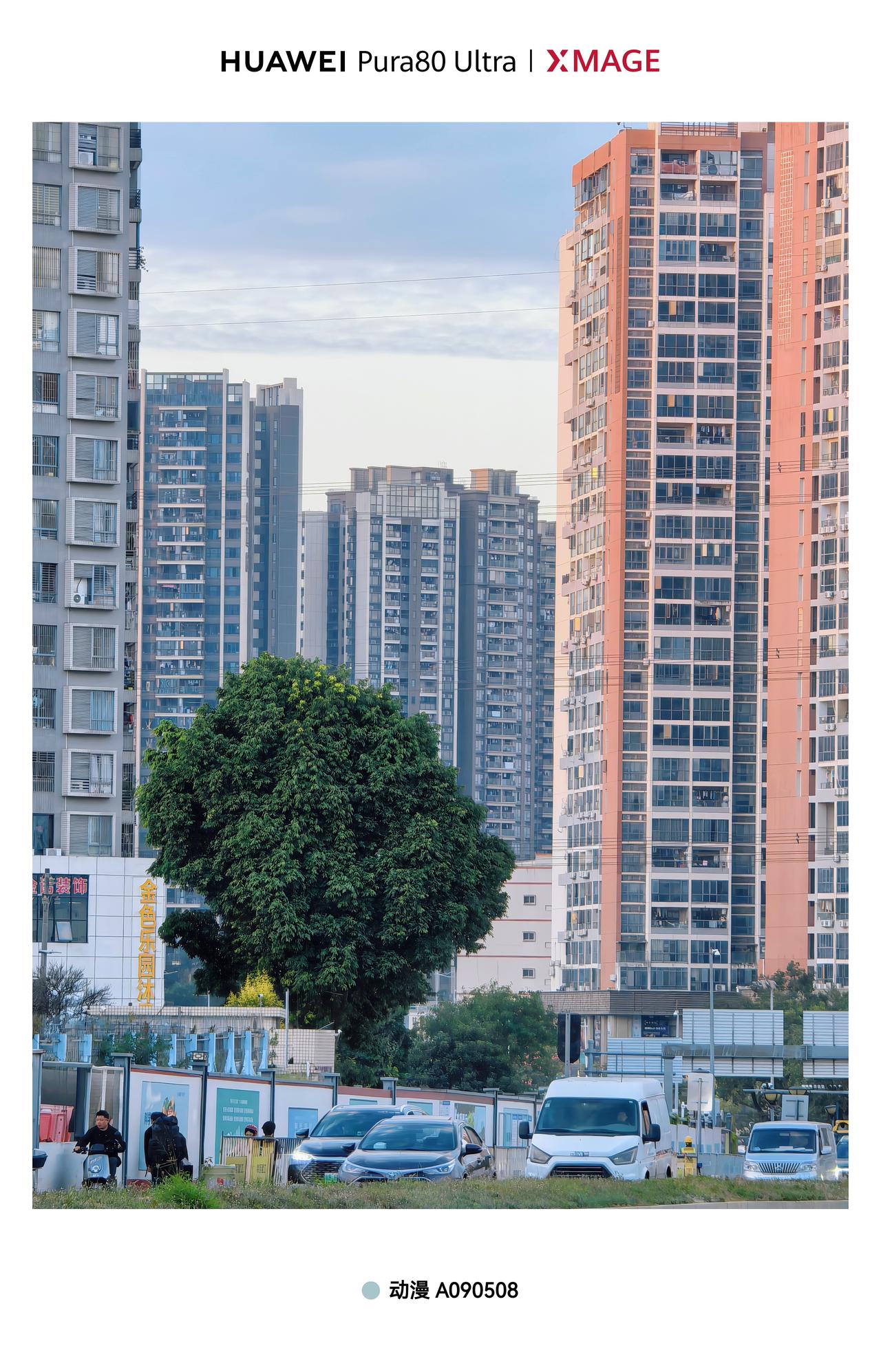 华为Pura八零ultra一镜双目
十倍定焦的城市风光🏙，楼下的车与树在高楼大