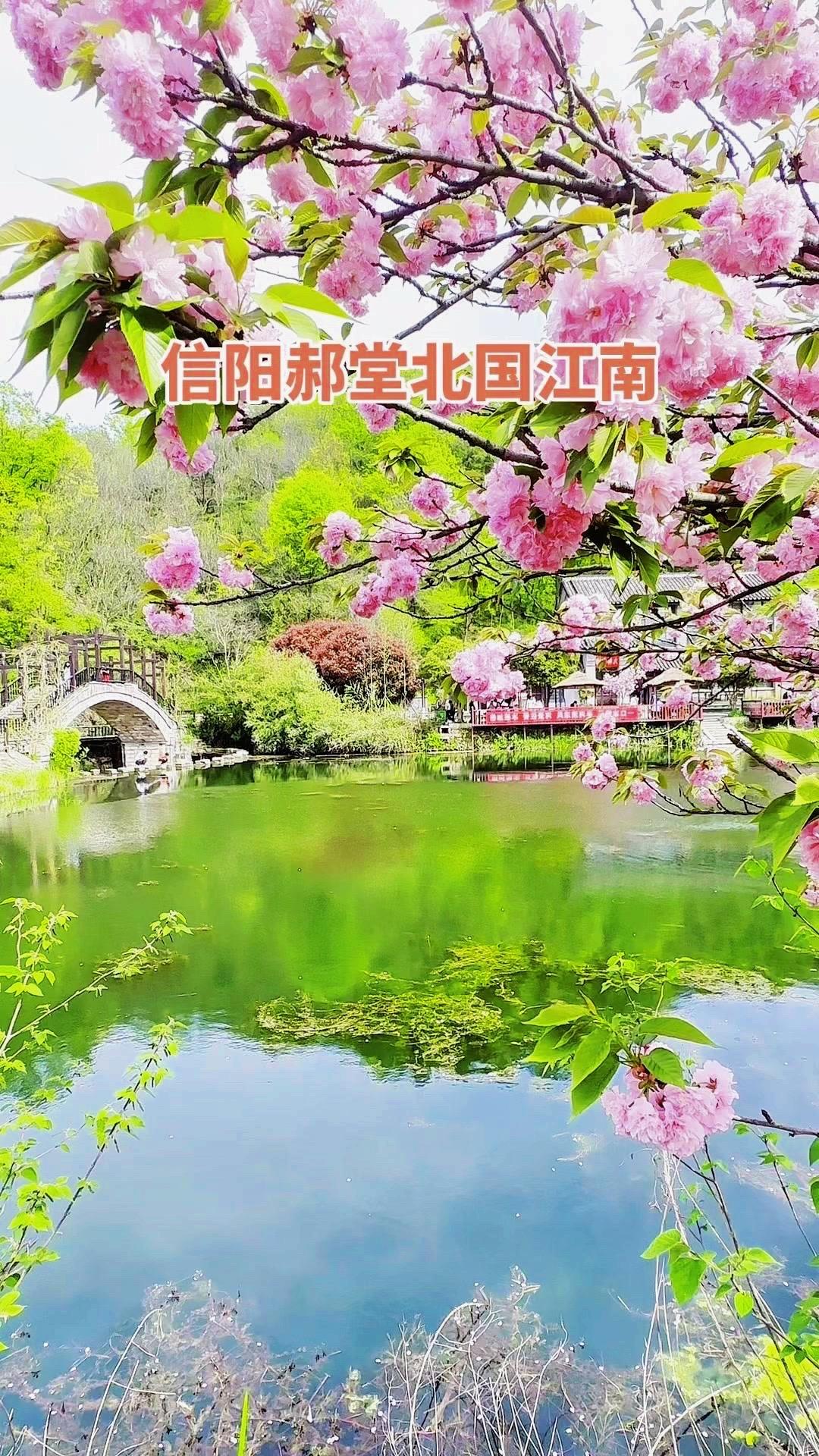 🌿来信阳必打卡的郝堂村，果然名不虚传！这里的风景美到像被画家精心勾勒过，每一帧