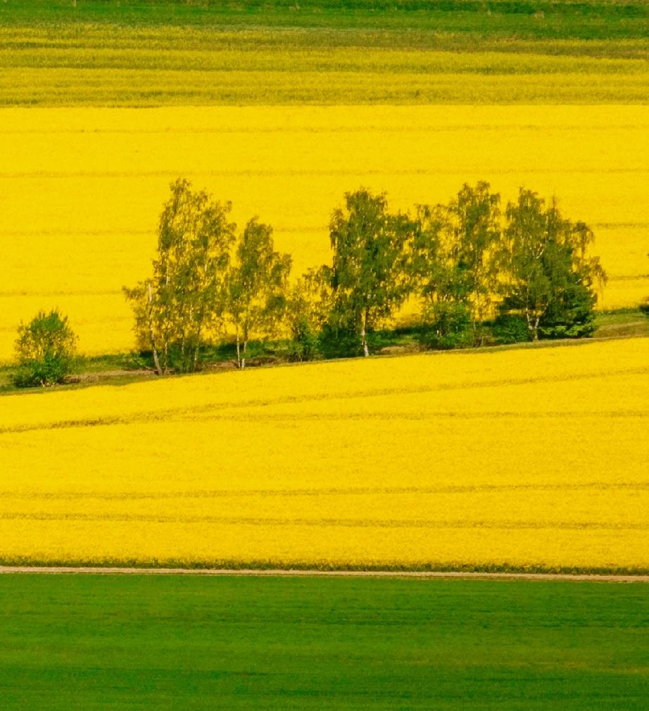 性学专家李银河说：“别把性冲动搞得遮遮掩掩，偷偷摸摸，鬼鬼祟祟，你去读一读我丈夫