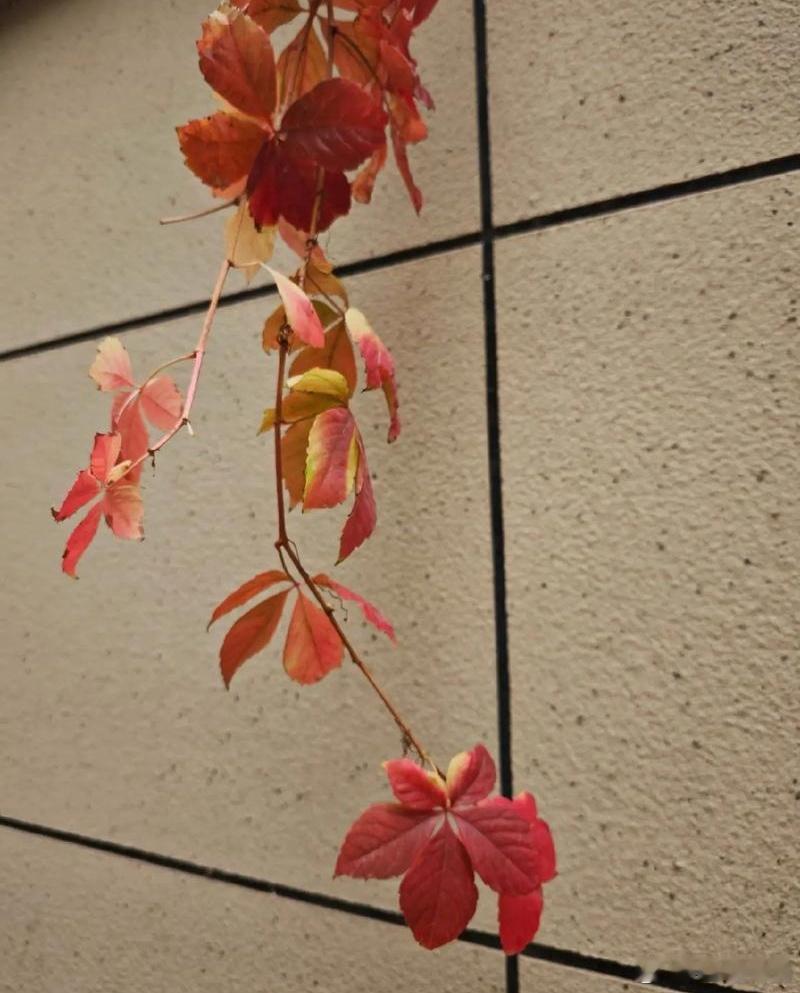 人生没有白走的路，每一步都算数；幸运不会不邀而来，惊艳只属于有准备的人。    