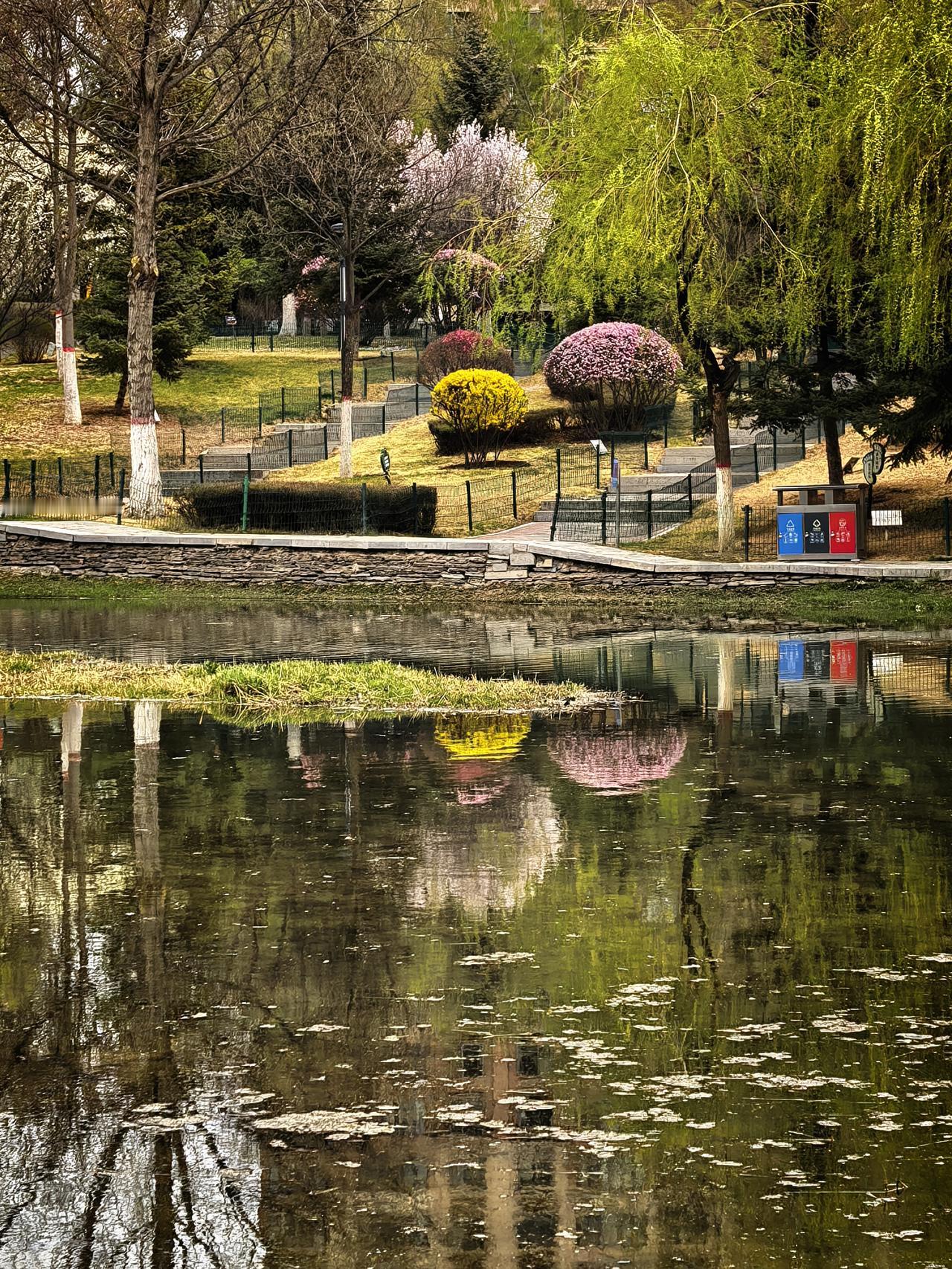 春深，雨落后，湿地公园自在的景。