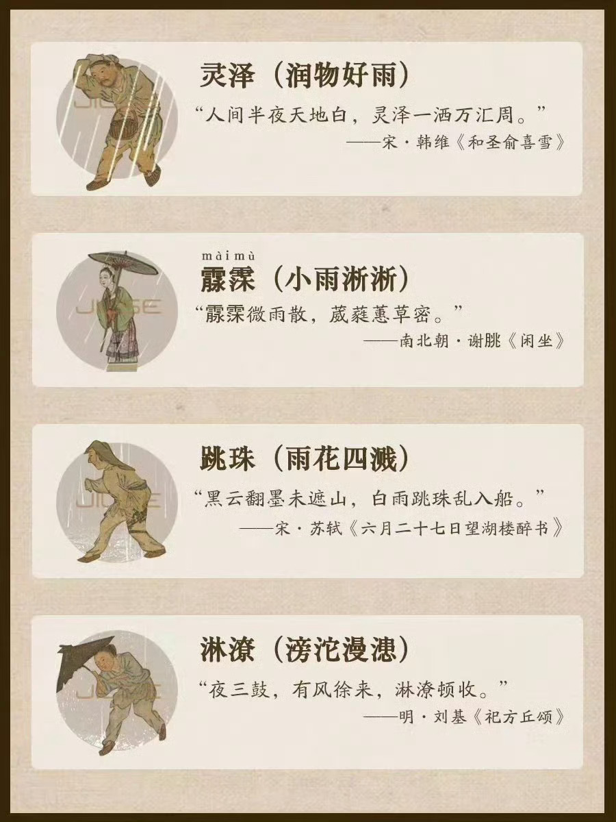 雨的十二种形态 