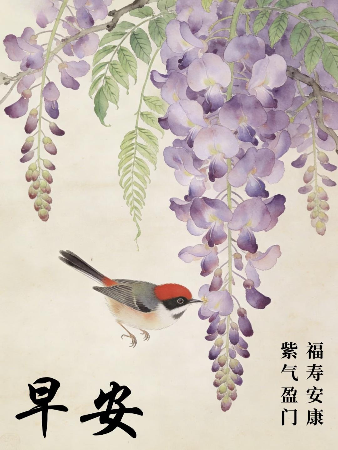 早安吉祥！紫气盈门，福寿安康，万事顺意！传统文化 早安 绘画
