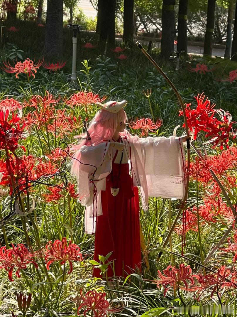 bjd[超话]