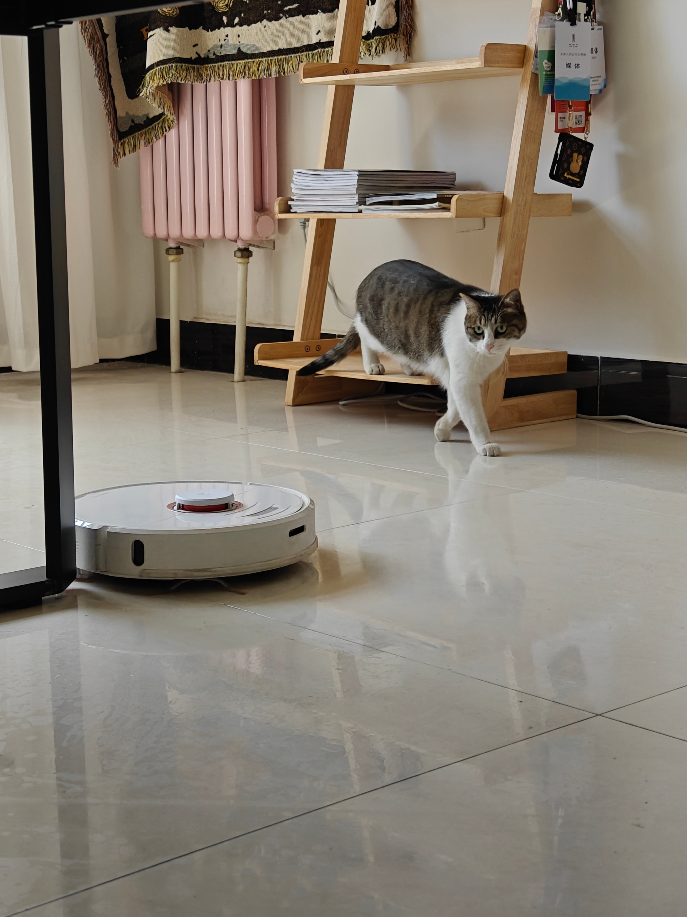#扫地机是真好用还是智商税#家里屋子比较小，地上电线多，如果再养猫，真的没法用扫