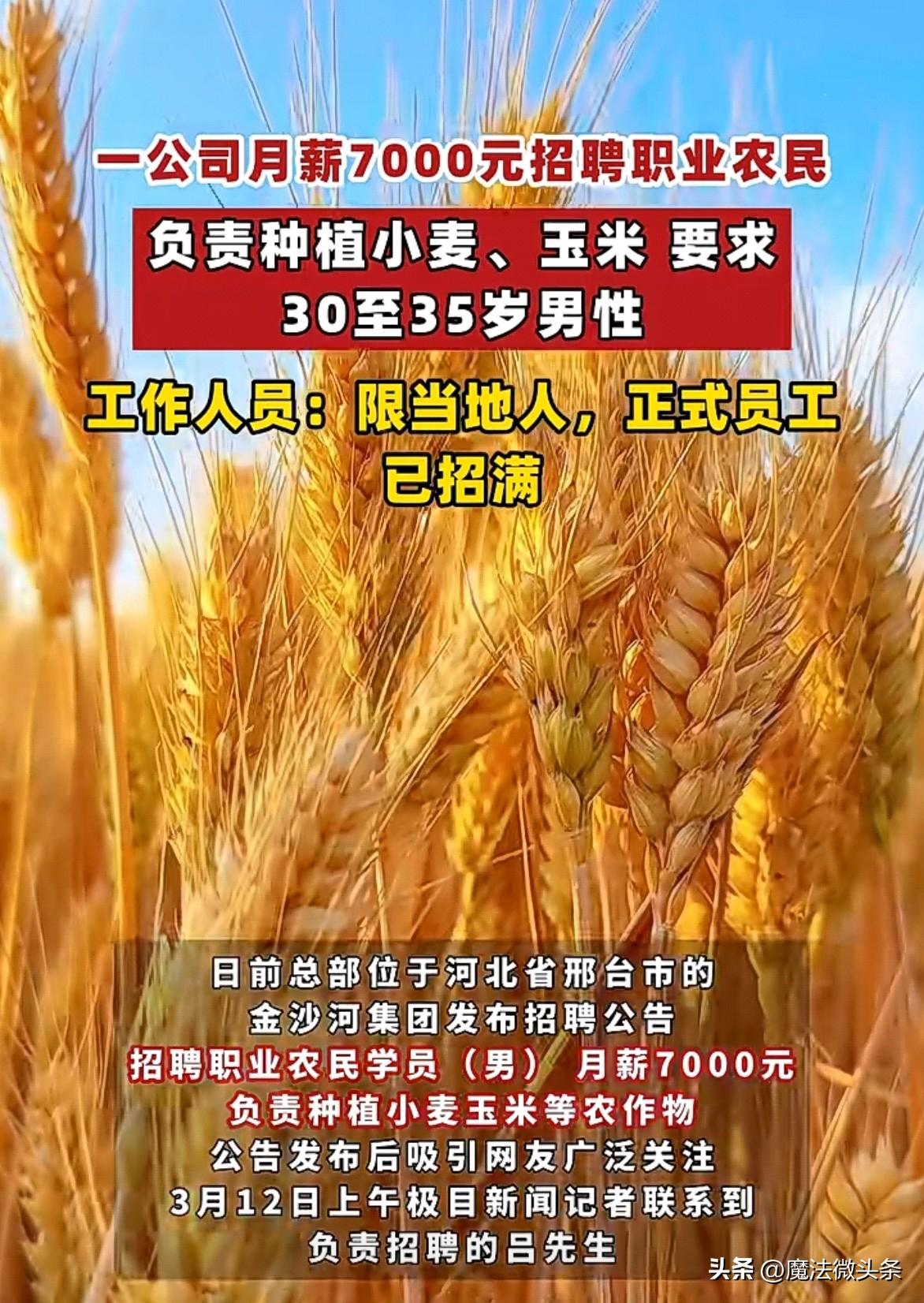 月薪7000元招职业农民，这事儿最近挺火。河北邢台的金沙河集团发布招聘，要招30