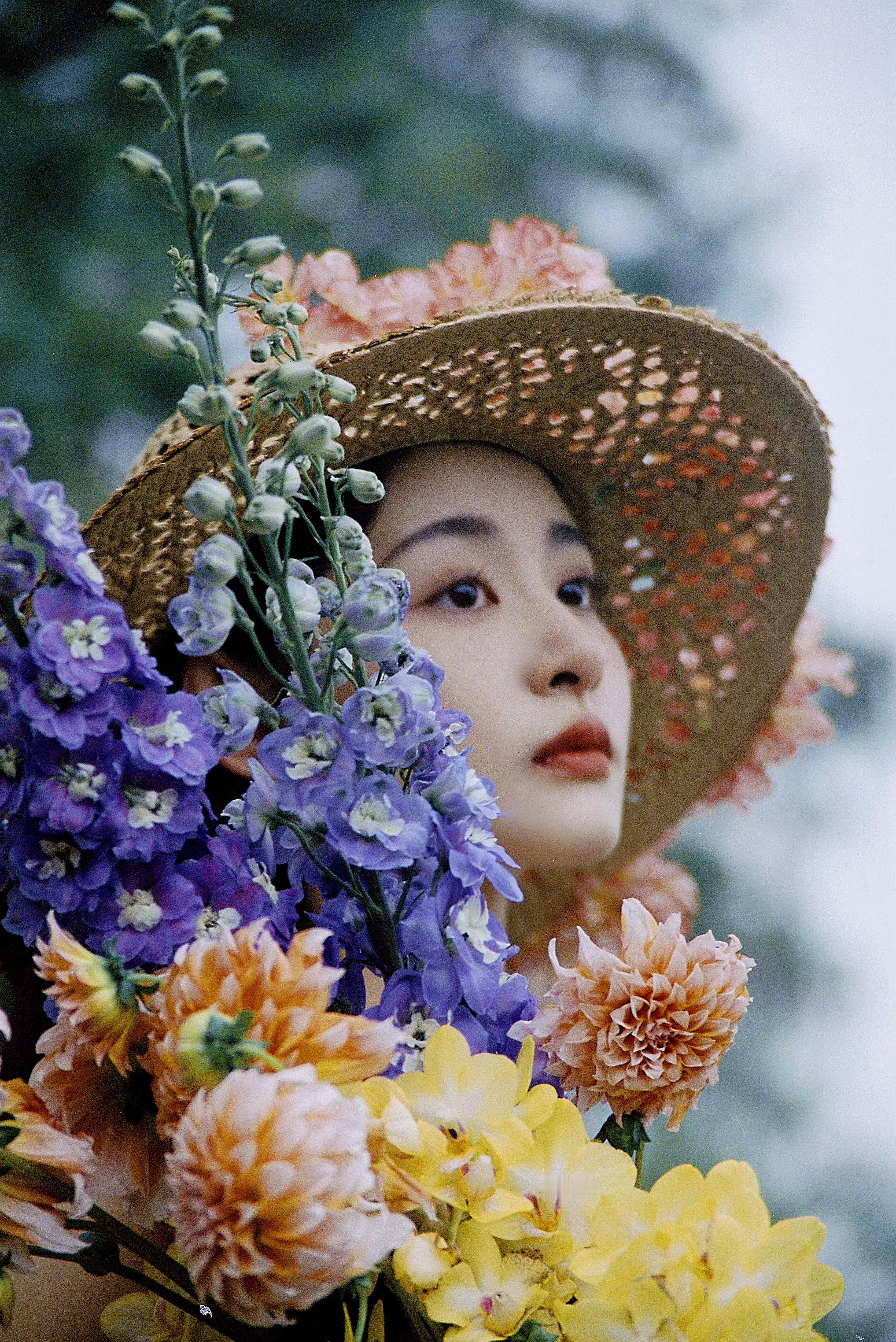 簇拥烈日下的花。 ​摄影:​​​