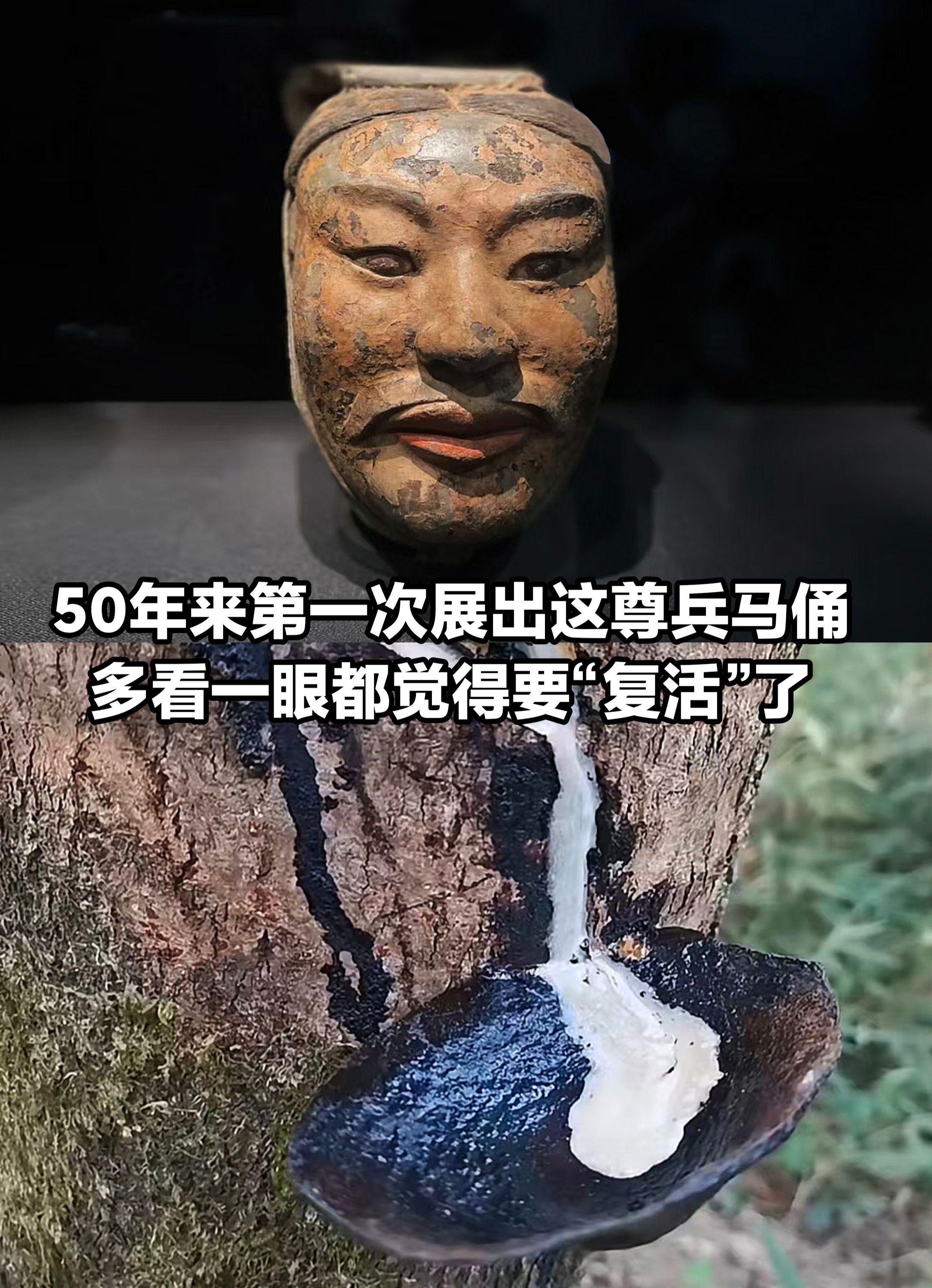 50年来首次展出的兵马俑，太逼真了！