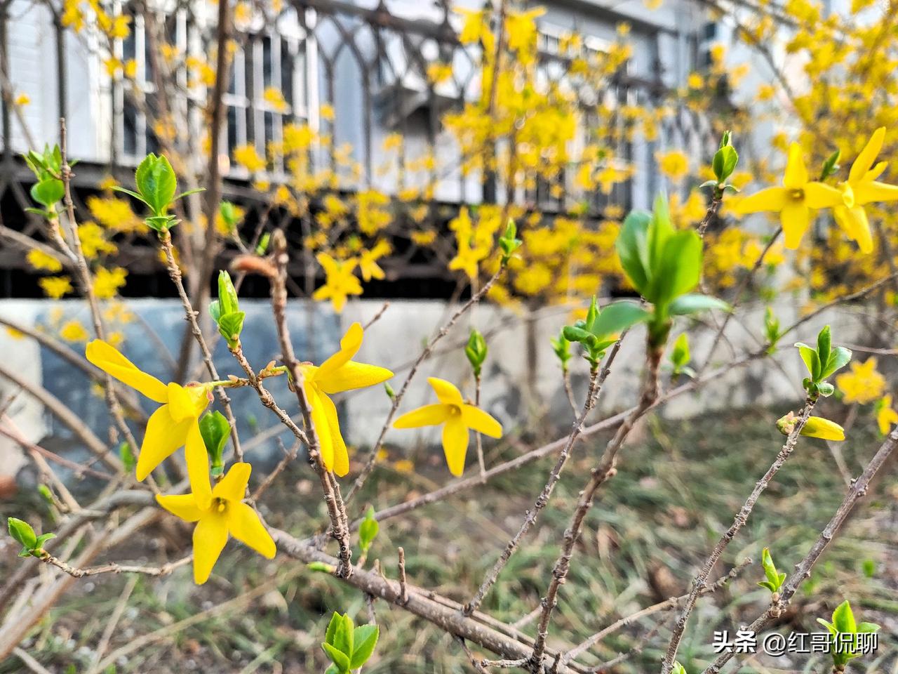 老年人走路就出汗，大多是生理衰退+体质偏弱导致，也可能和某些疾病有关，常见原因分