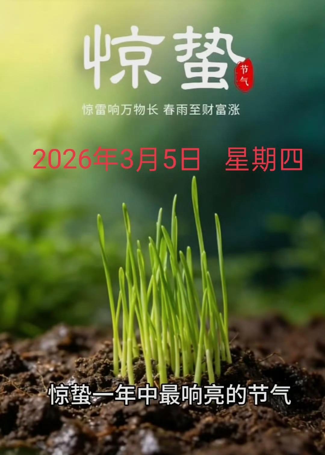惊蛰这天，只要做好这 6 件事就够了：

1. 吃一个梨老传统：惊蛰吃梨，离病痛