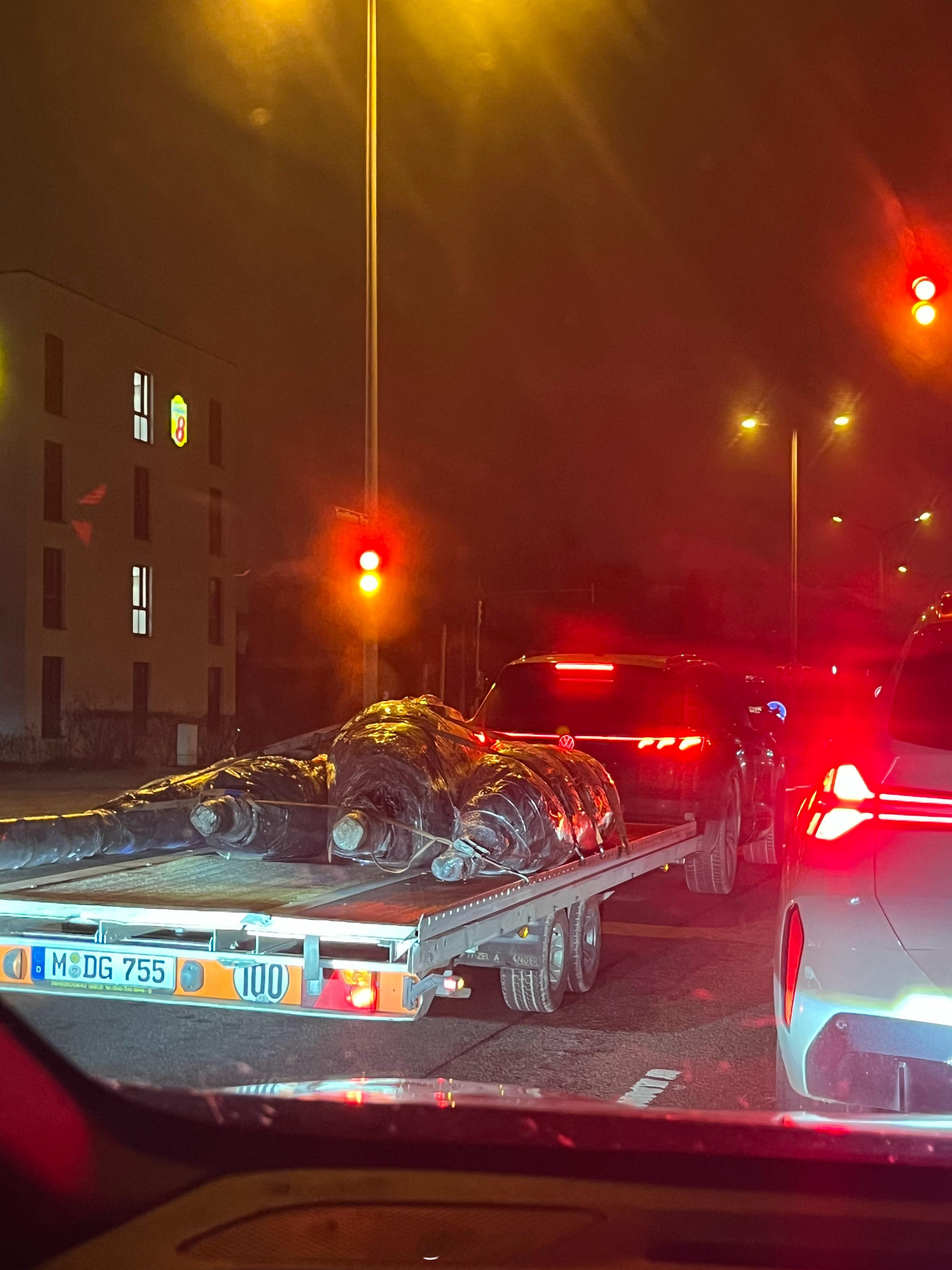 大户人家，开这么大拖车拉圣诞树