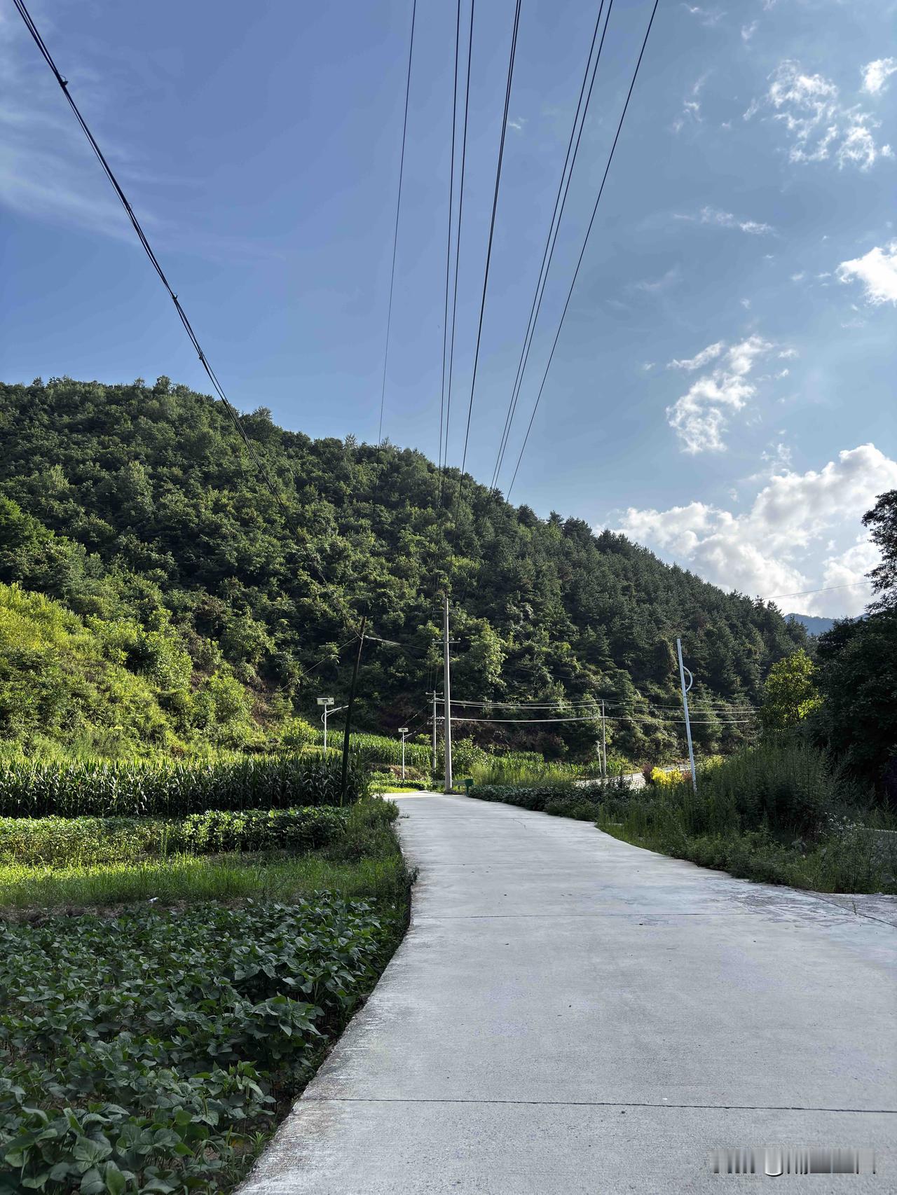 蓝田辋川安基附近随拍，河道里这个彩虹桥挺好看的，这桥是啥时候建的，前段时间听说这