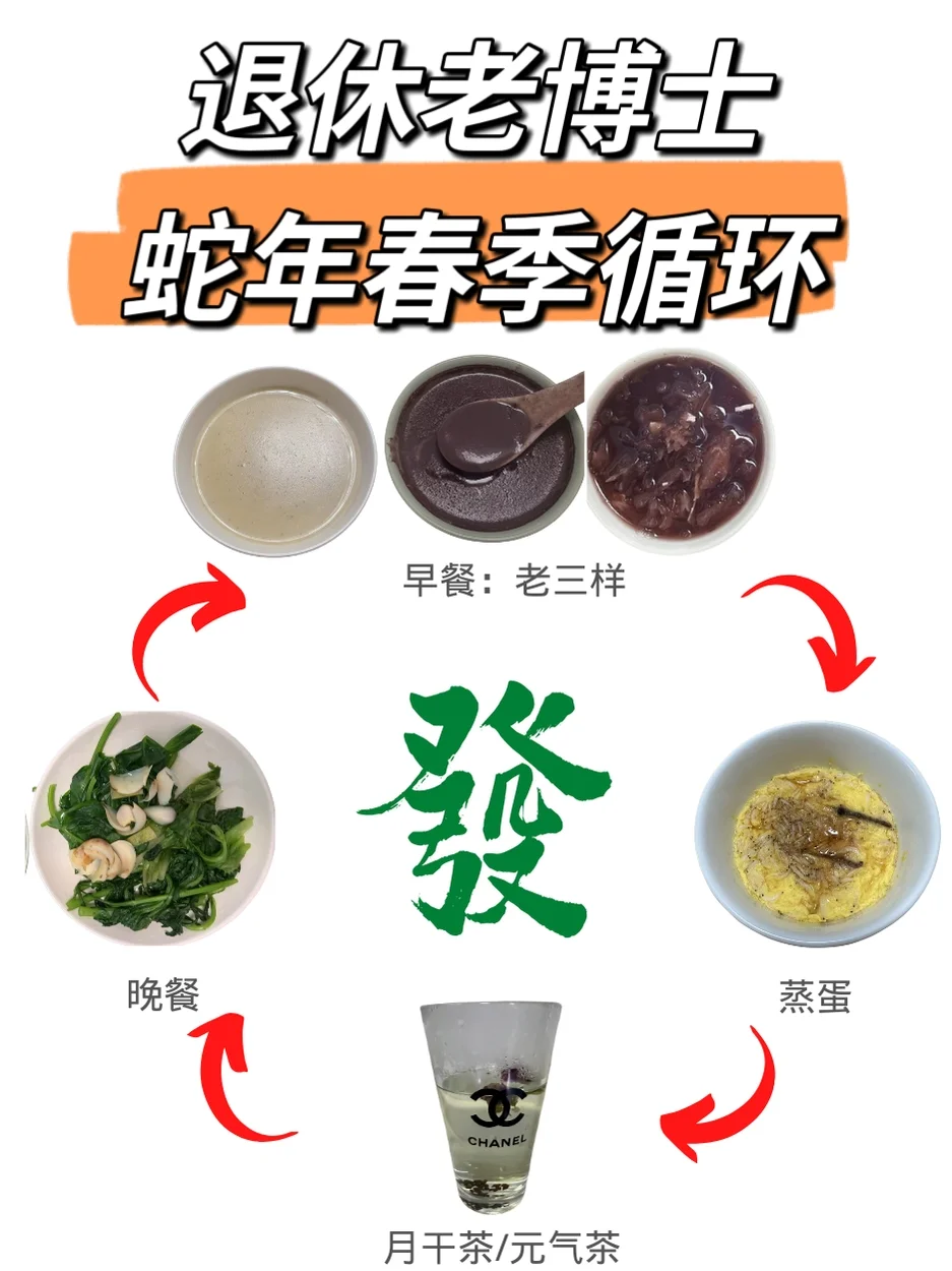 蛇年版“春季循环”，如约而至！