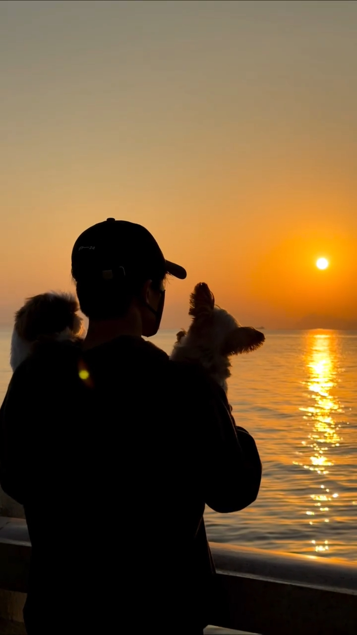 像故事的结局一样，美好而浪漫🥹🥹🥹 