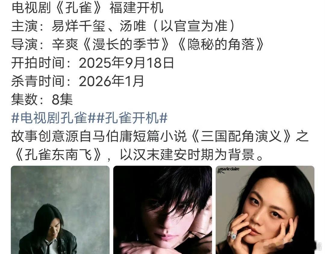易烊千玺《孔雀》搭汤唯，《狂野时代》搭舒淇，怎么老是压番 ​​​