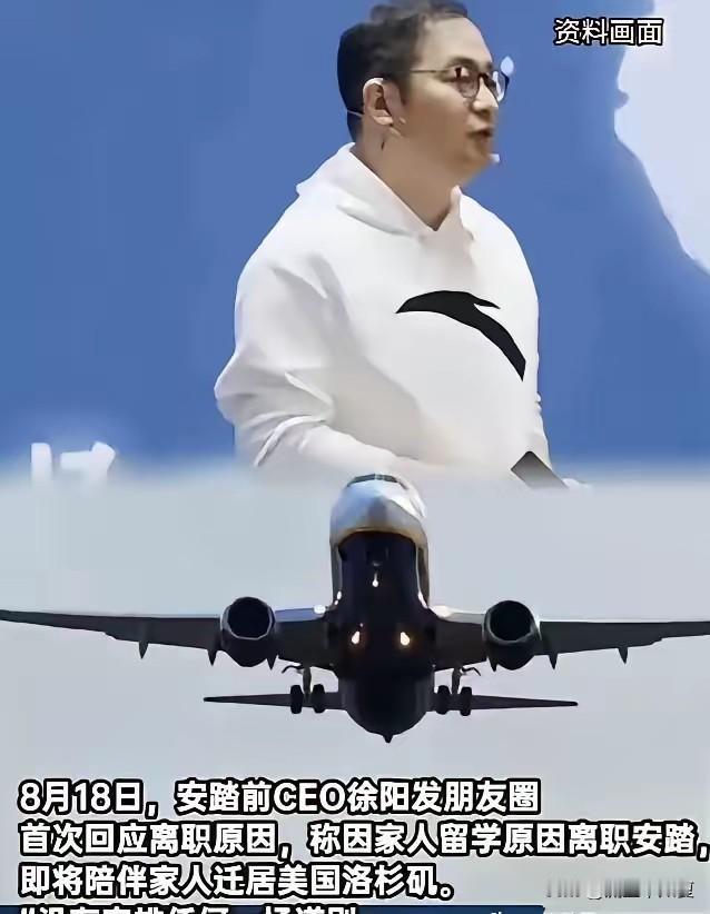 徐阳这一走，可把国货最大的遮羞布给撕开了。

他这一走，安踏慌了神，后面那些国货