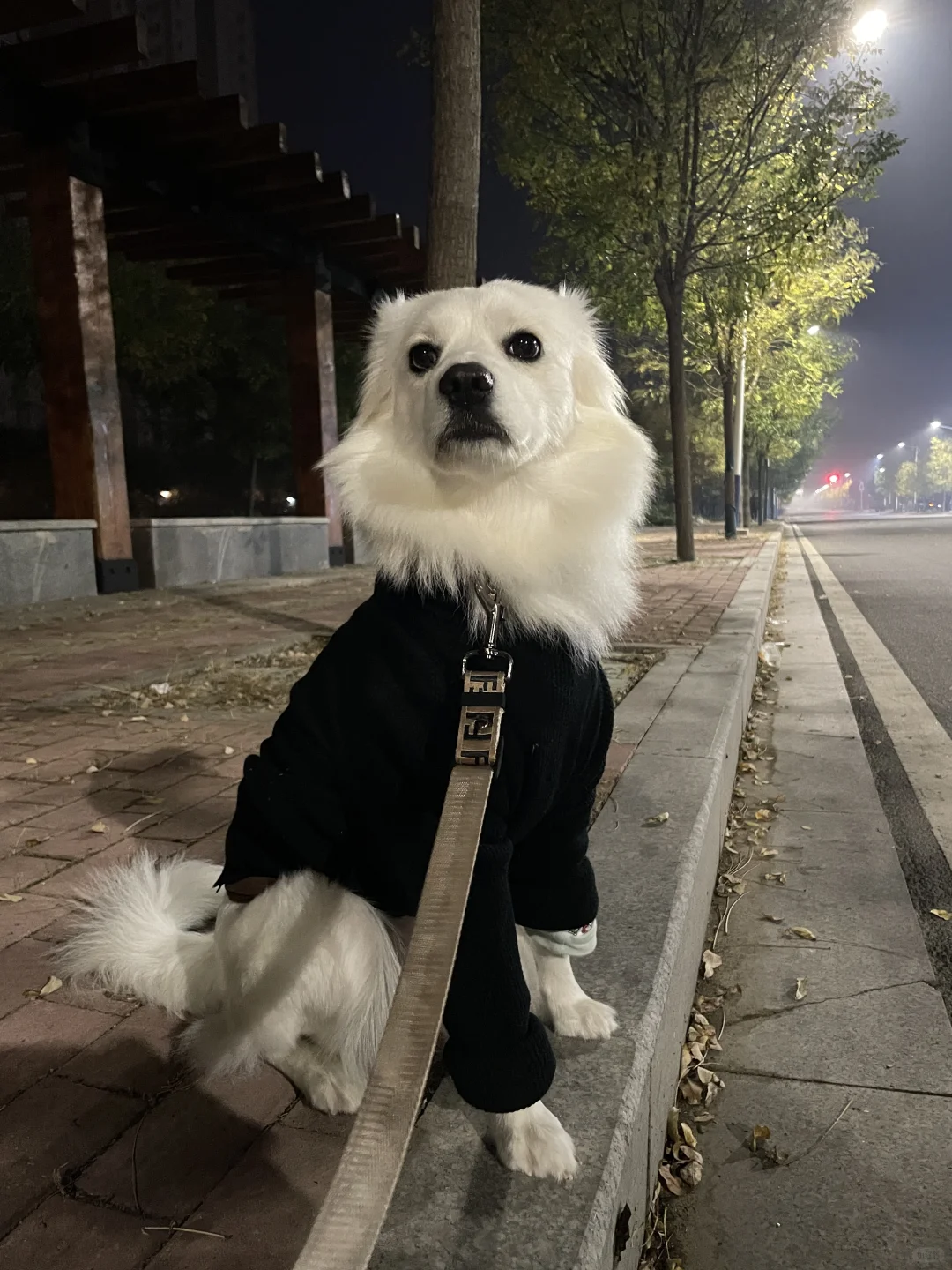 最后拍下的你