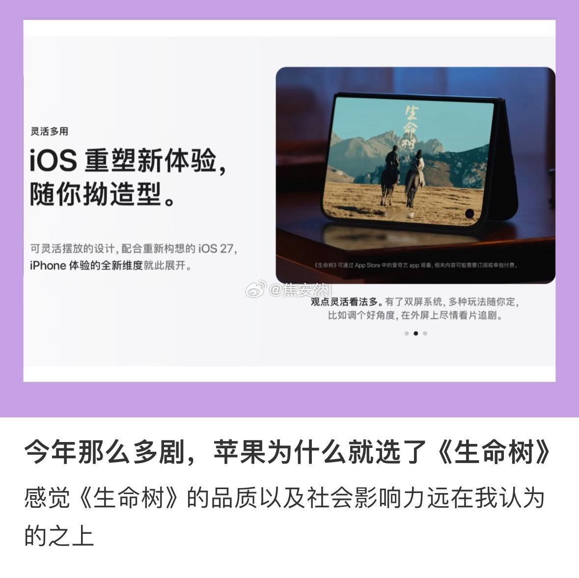 因为杨紫是苹果ceo ​​​